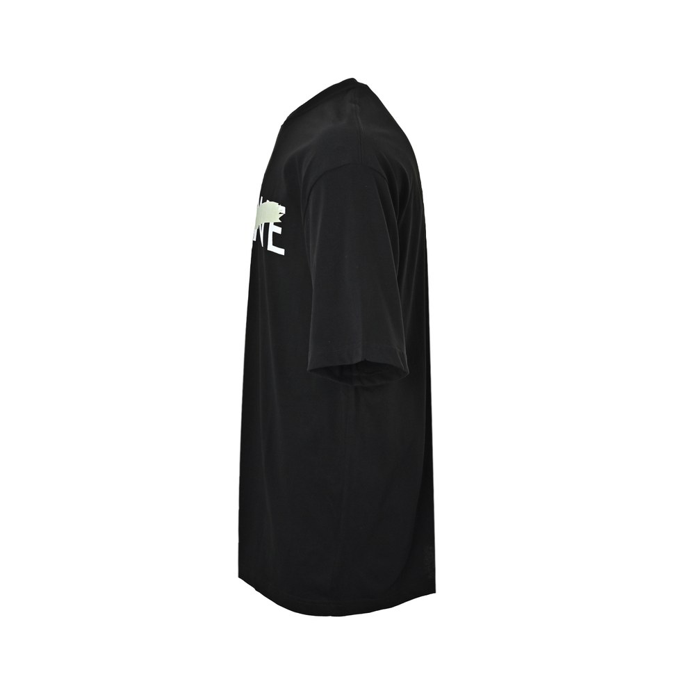 Celine T-shirts-028