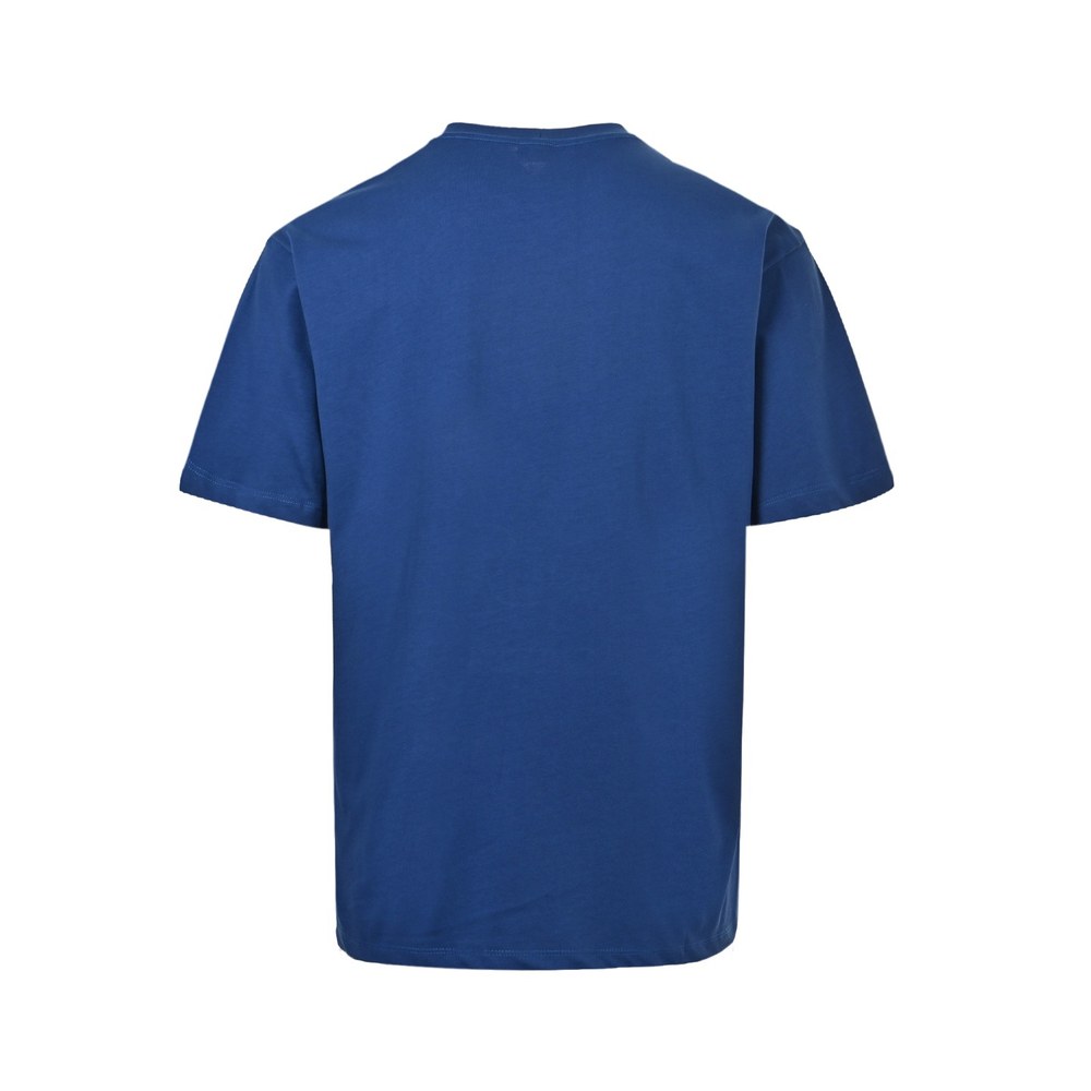 Celine T-shirts-018