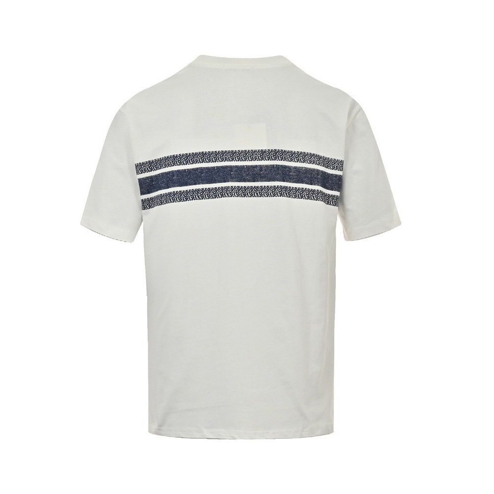 Dior T-shirts-304