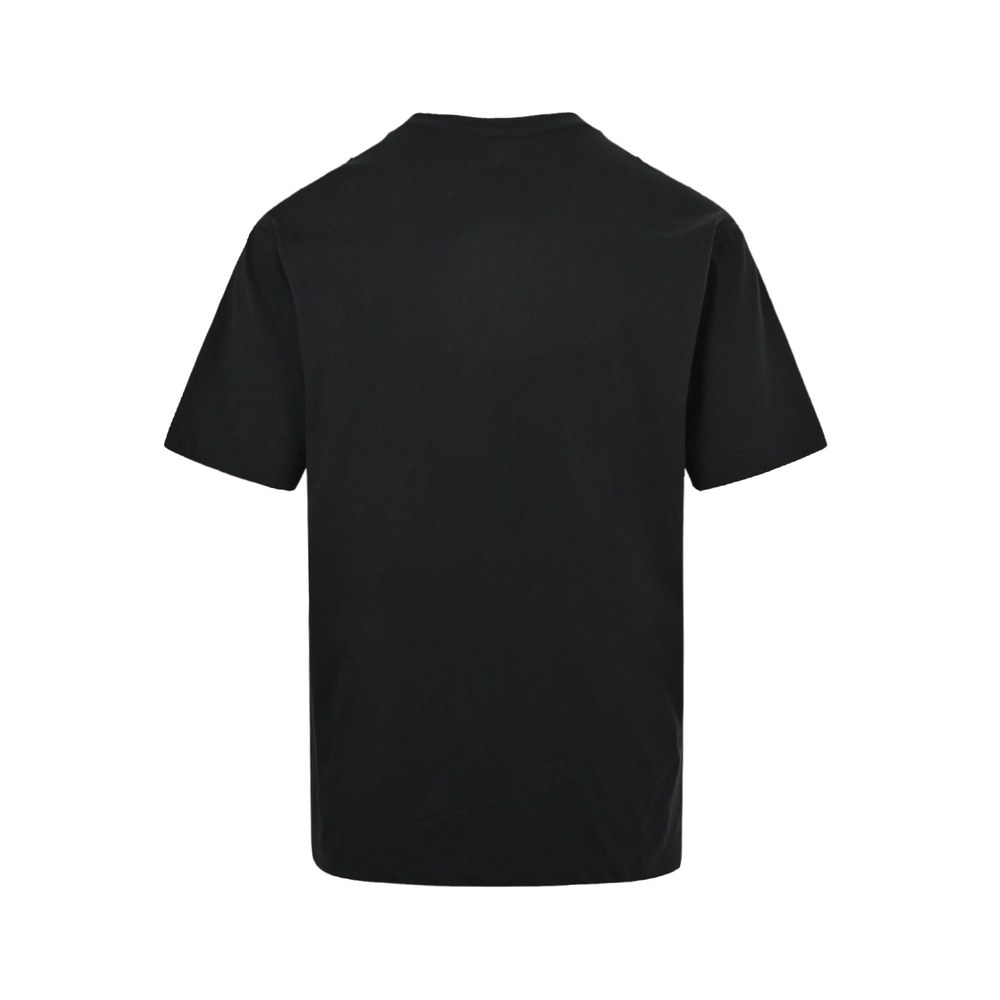Celine T-shirts-036