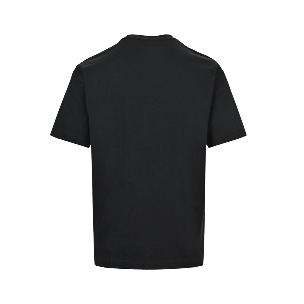 Dior T-shirts-487