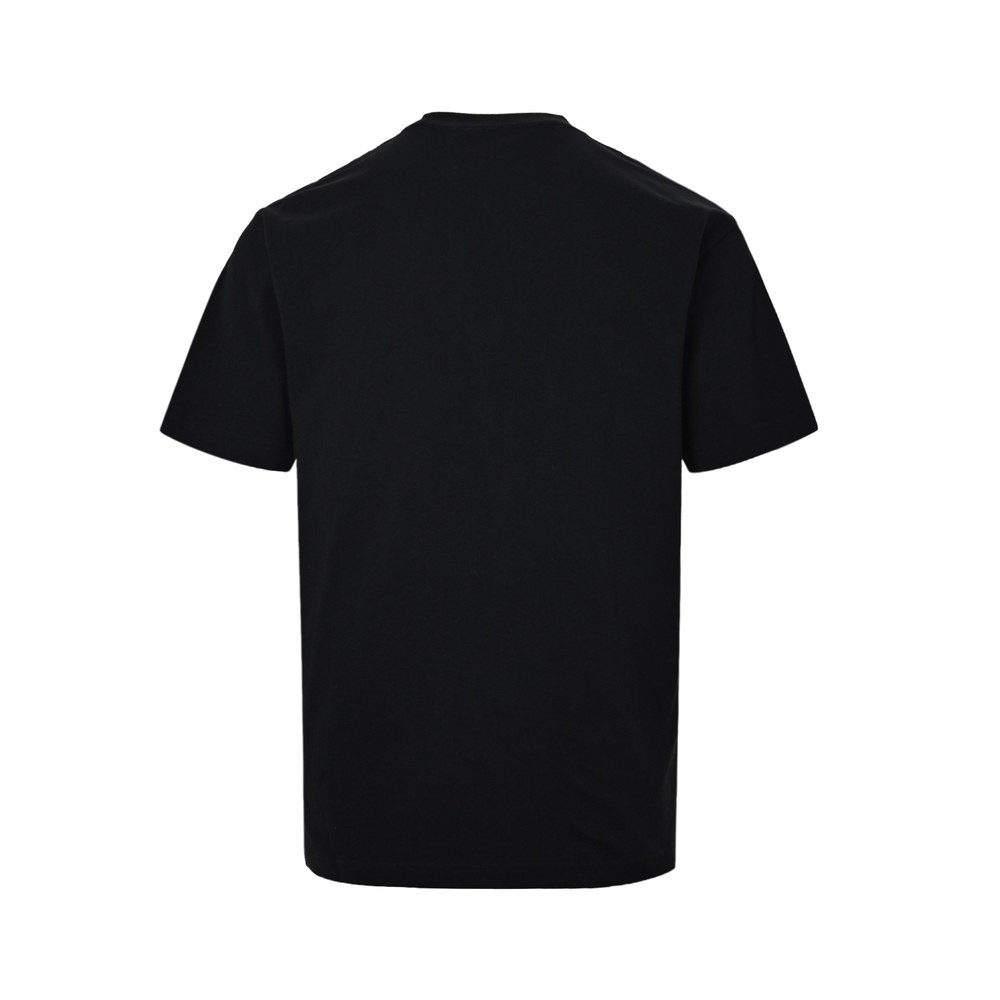 Dior T-shirts-411