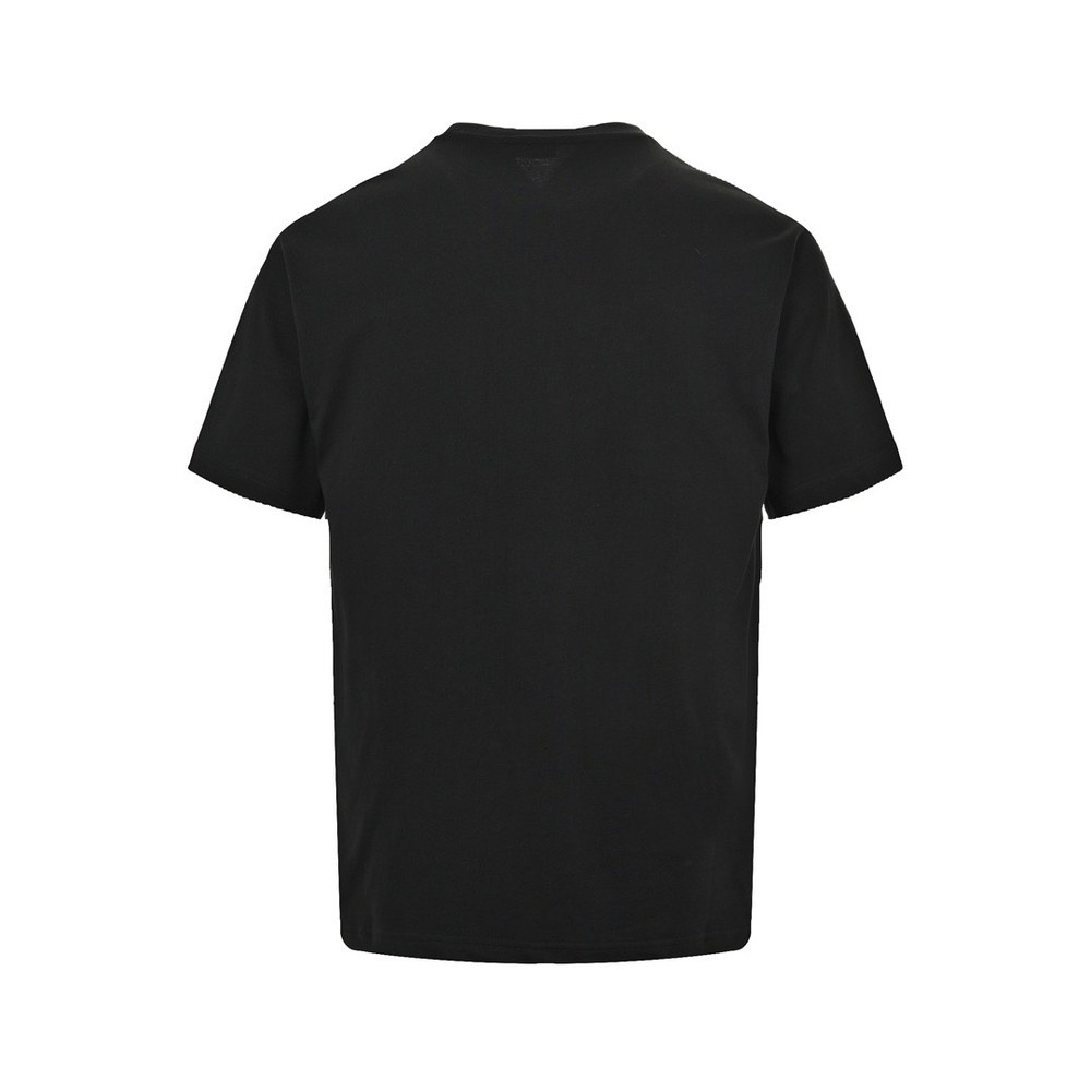 Dior T-shirts-306