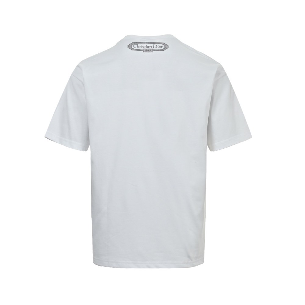 Dior T-shirts-353