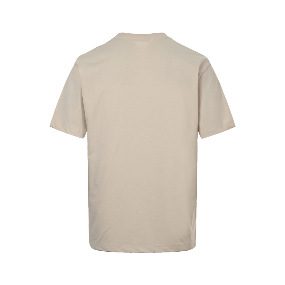 Dior T-shirts-311