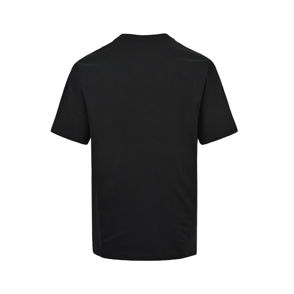 Celine T-shirts-024