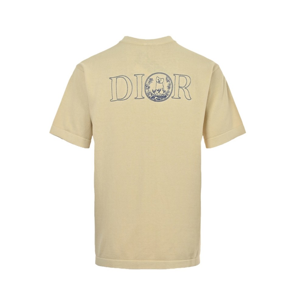 Dior T-shirts-465