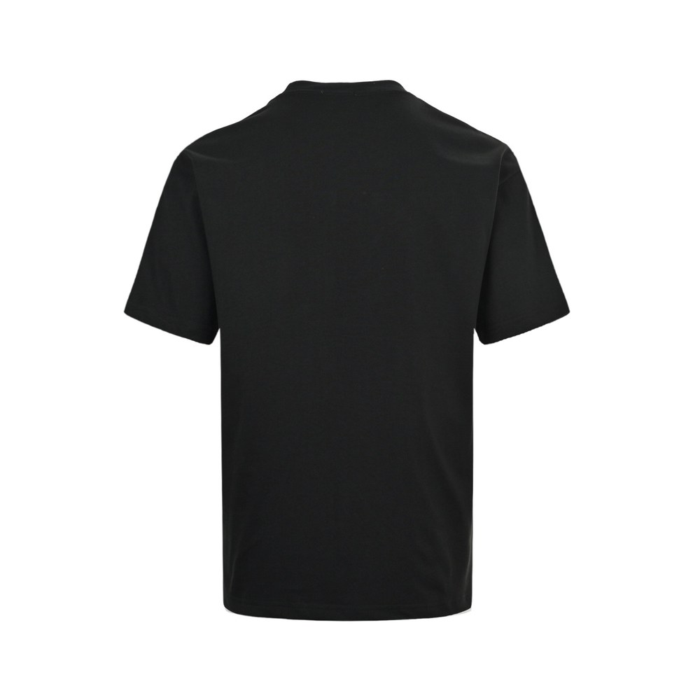 Dior T-shirts-350