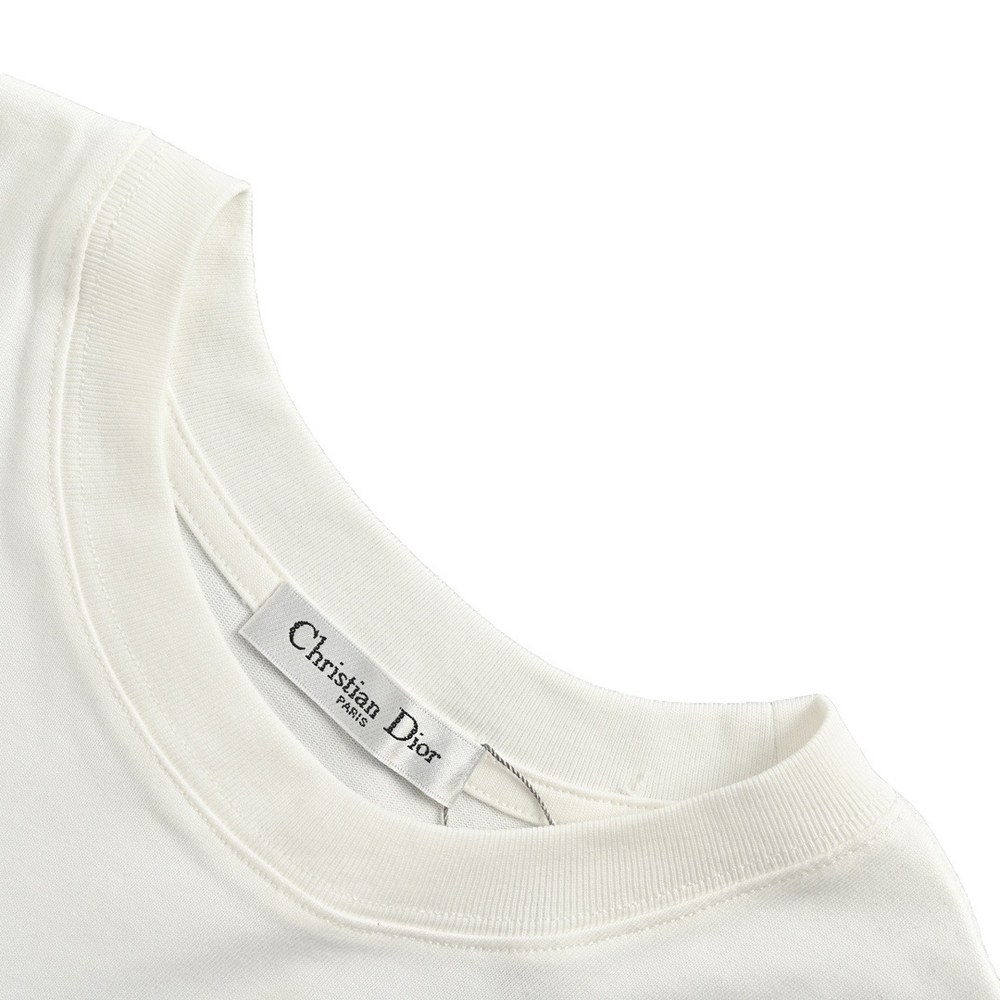Dior T-shirts-304