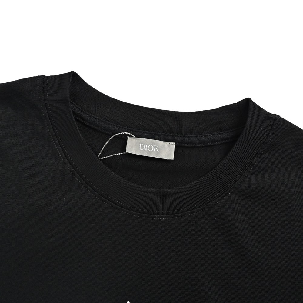 Dior T-shirts-388