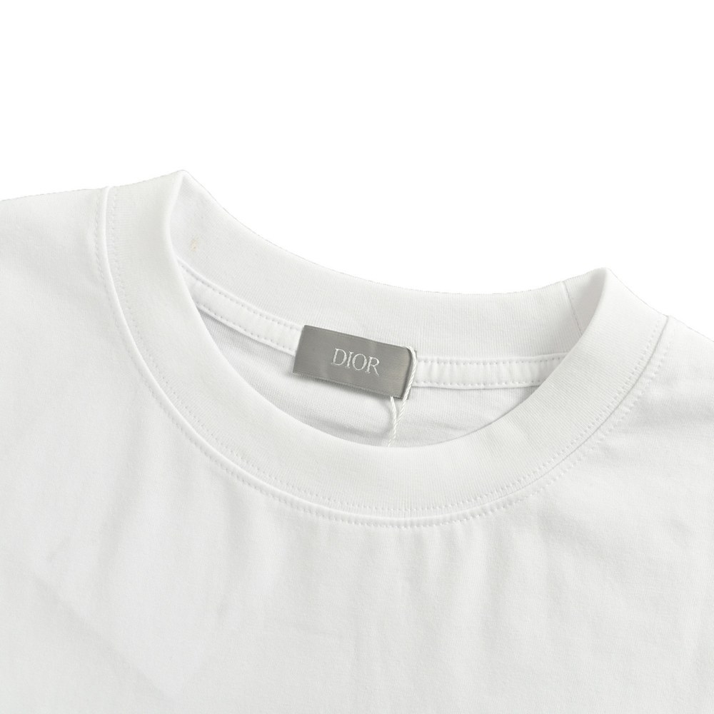 Dior T-shirts-480