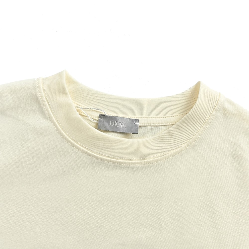 Dior T-shirts-493