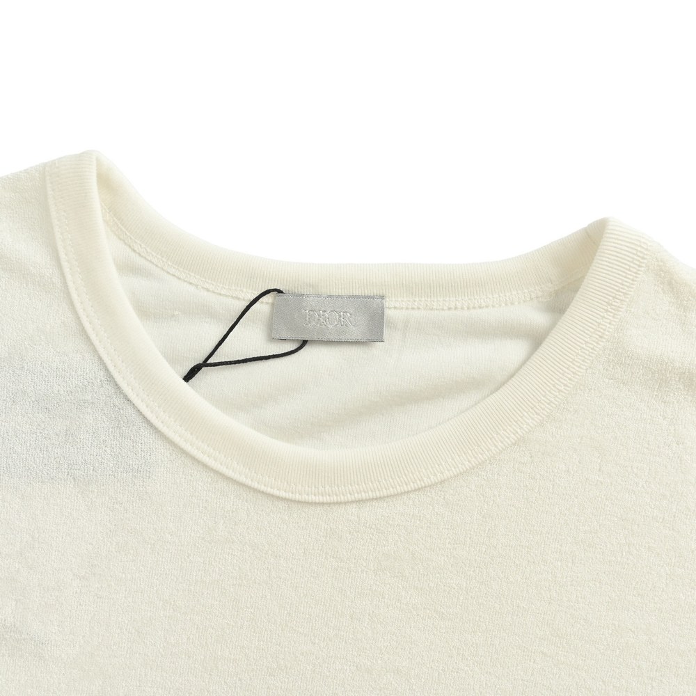 Dior T-shirts-314