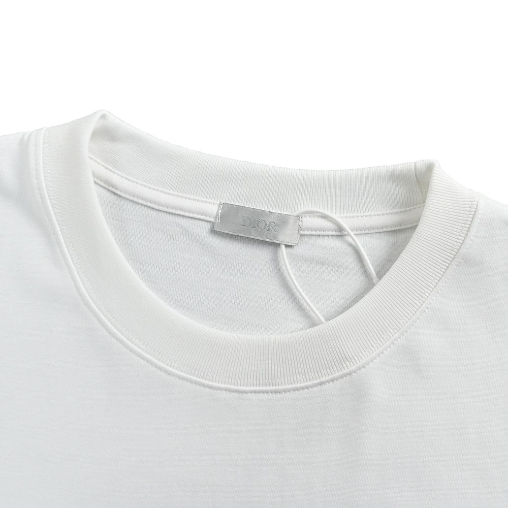 Dior T-shirts-351