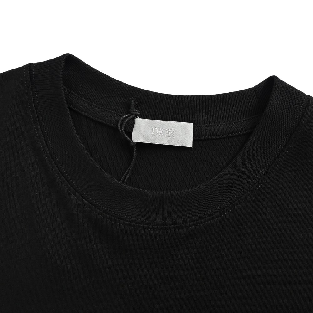 Dior T-shirts-455