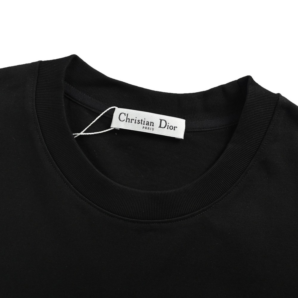 Dior T-shirts-308