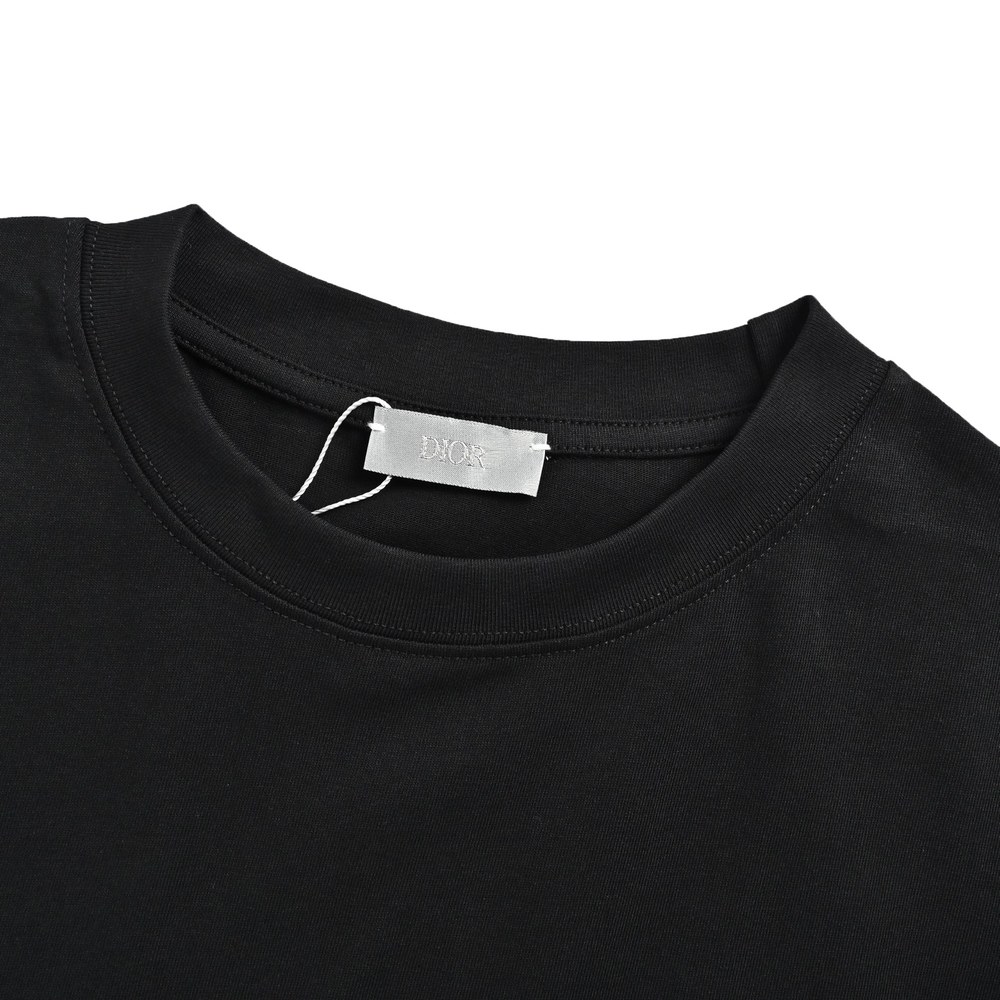 Dior T-shirts-491