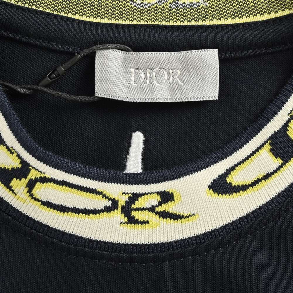 Dior T-shirts-318