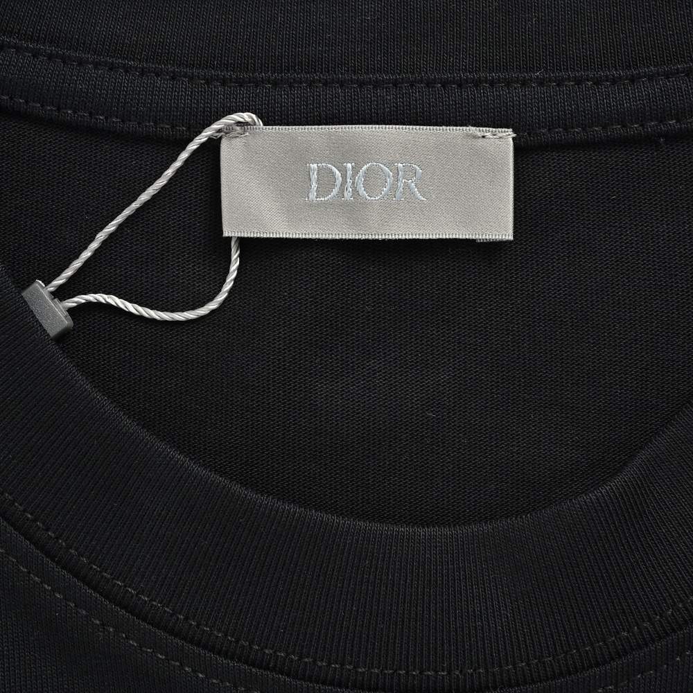 Dior T-shirts-409