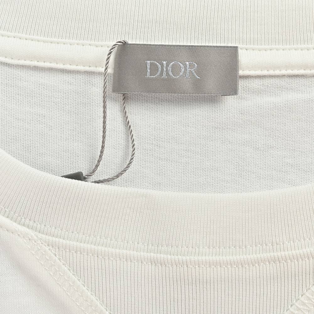 Dior T-shirts-299