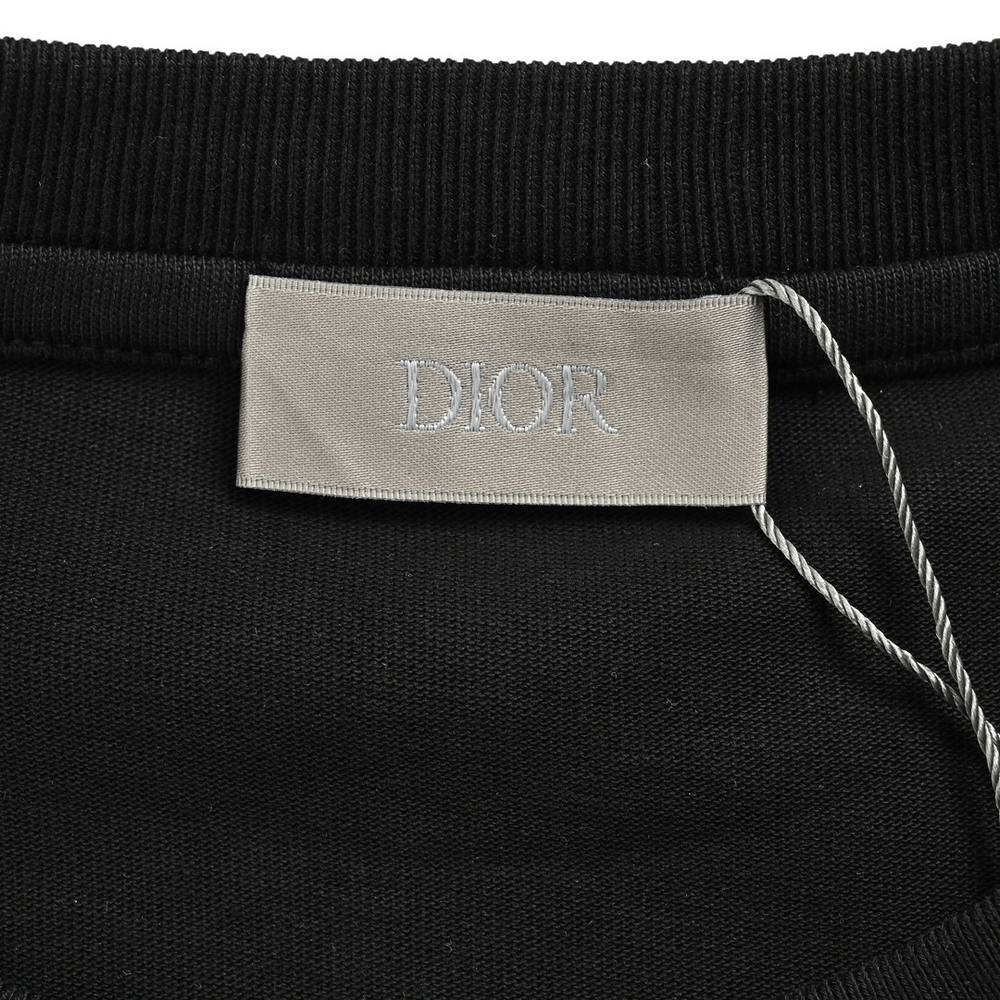 Dior T-shirts-306