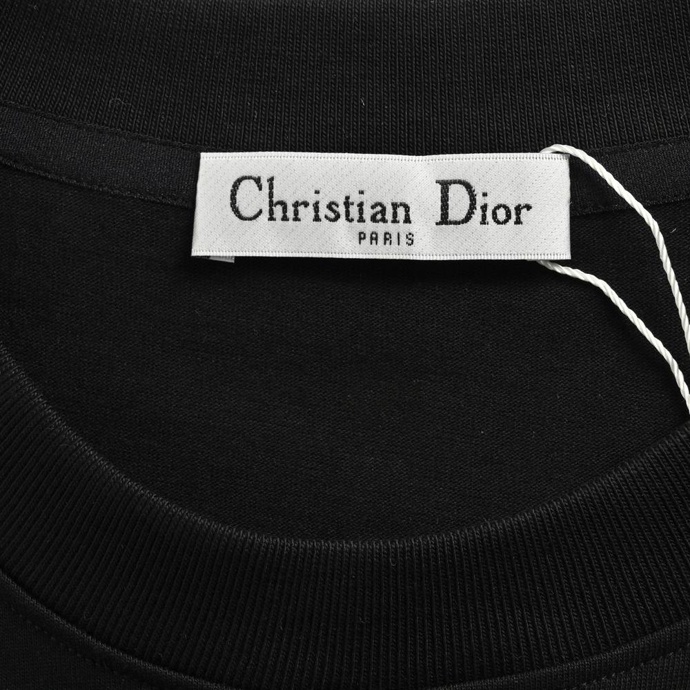 Dior T-shirts-316