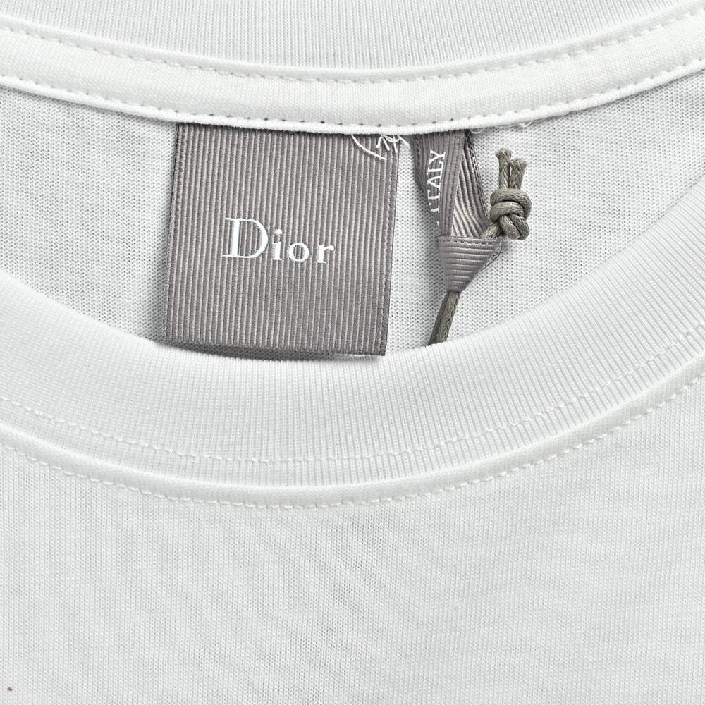Dior T-shirts-452