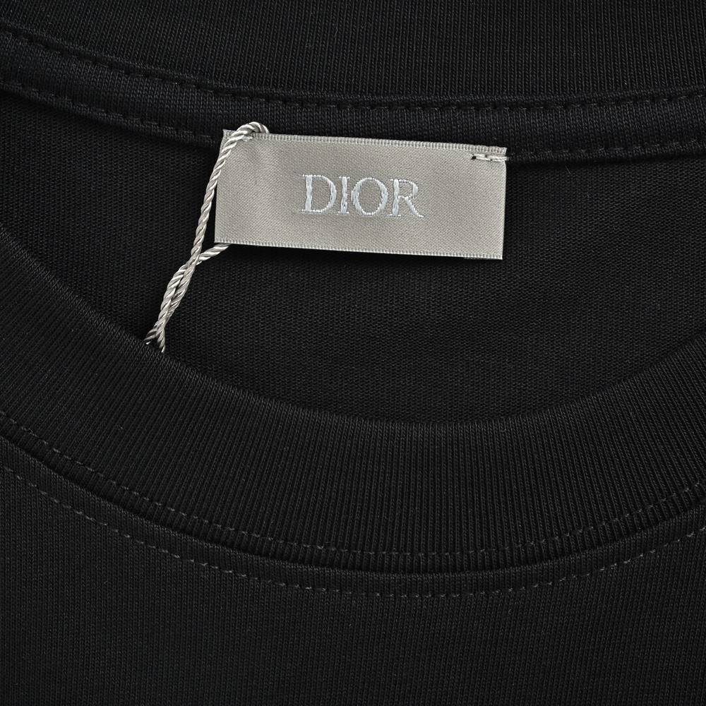 Dior T-shirts-394