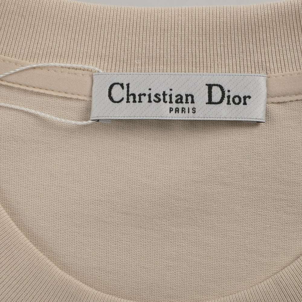 Dior T-shirts-311