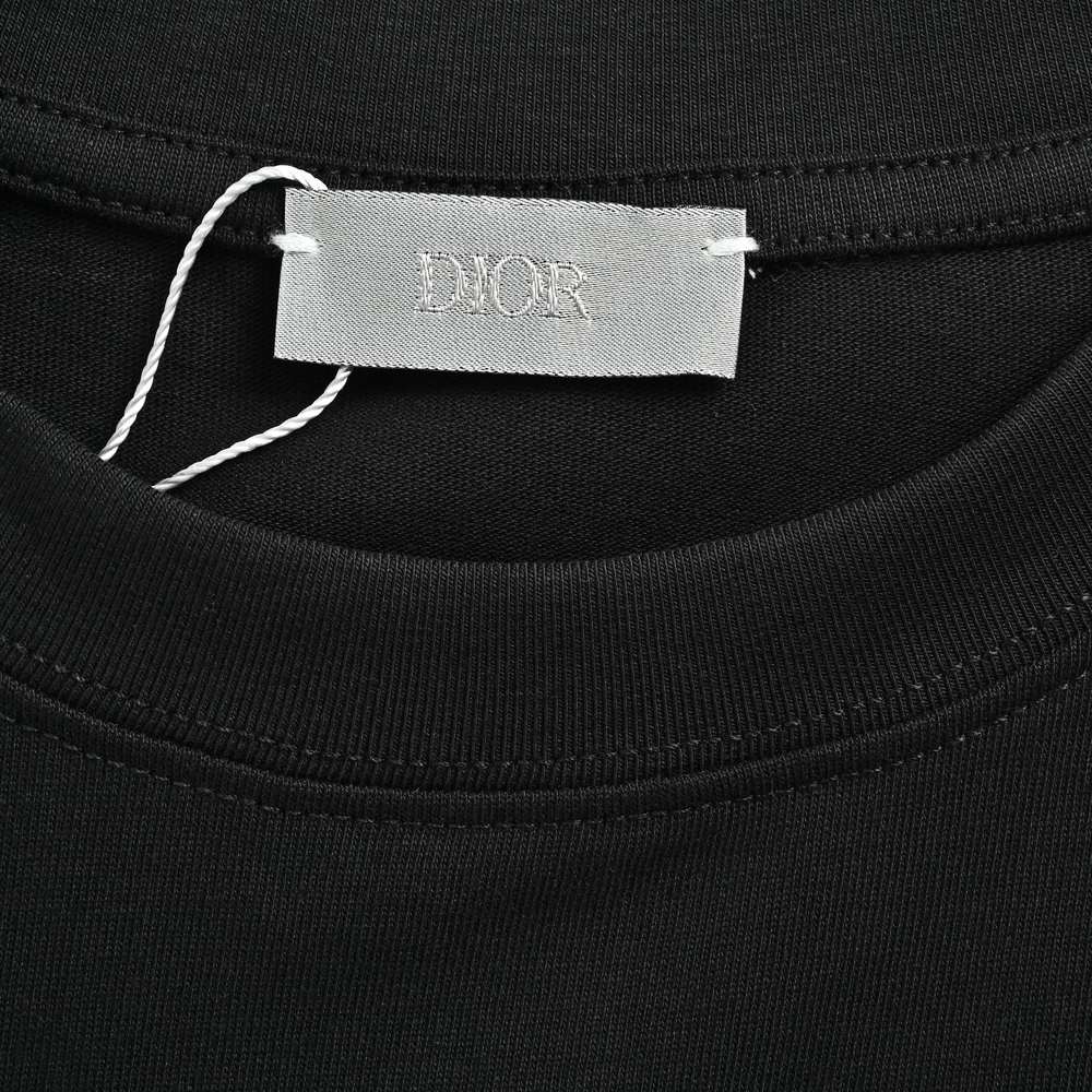 Dior T-shirts-491