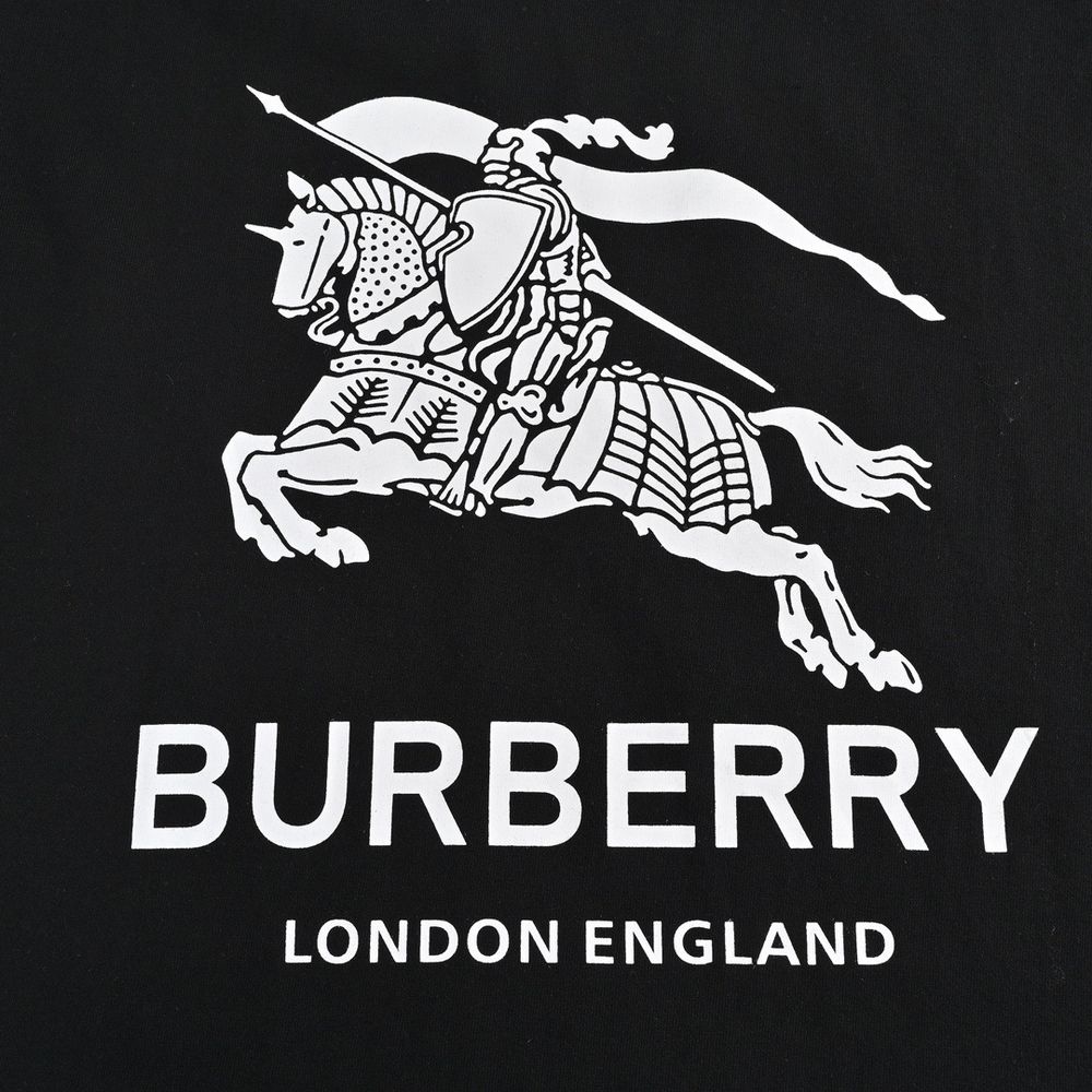 Burberry T-shirts-1278
