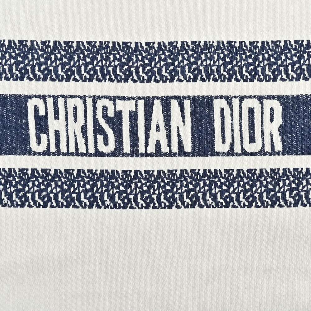 Dior T-shirts-303