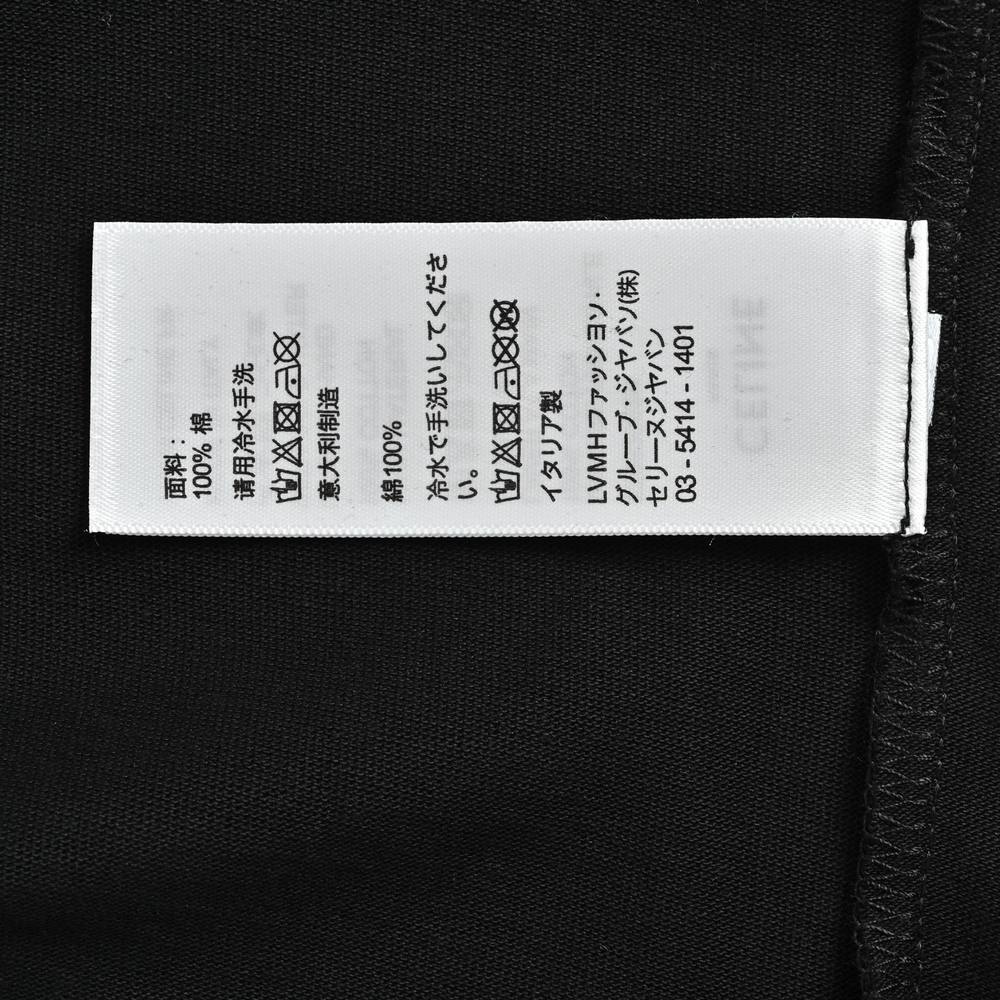 Celine T-shirts-028