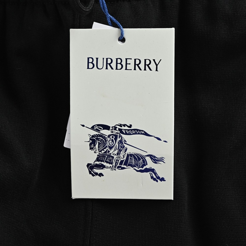 Burberry Pants-029
