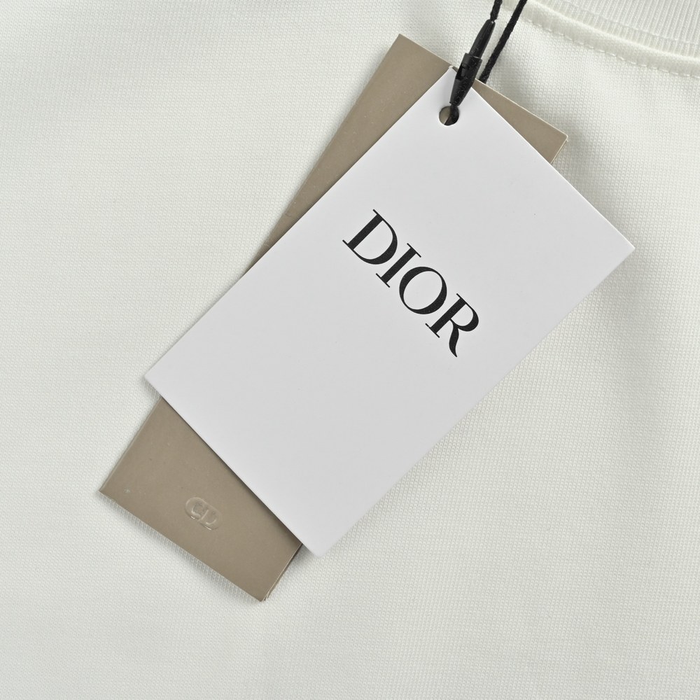 Dior T-shirts-322