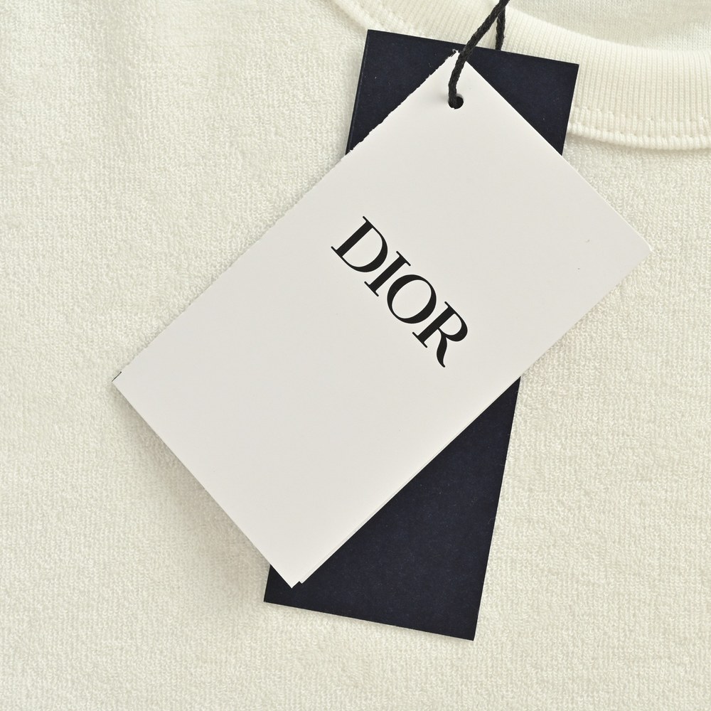 Dior T-shirts-315