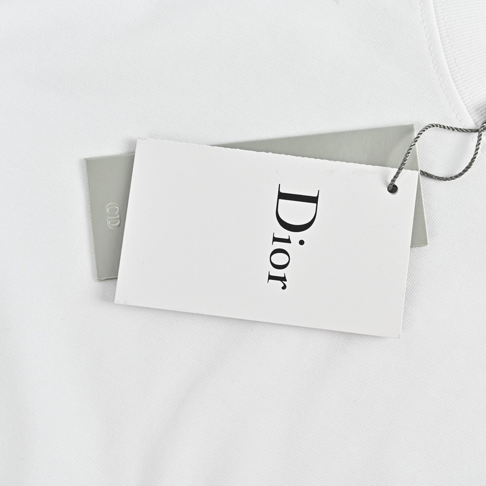 Dior T-shirts-349
