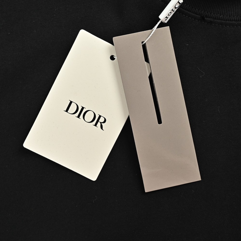 Dior T-shirts-443
