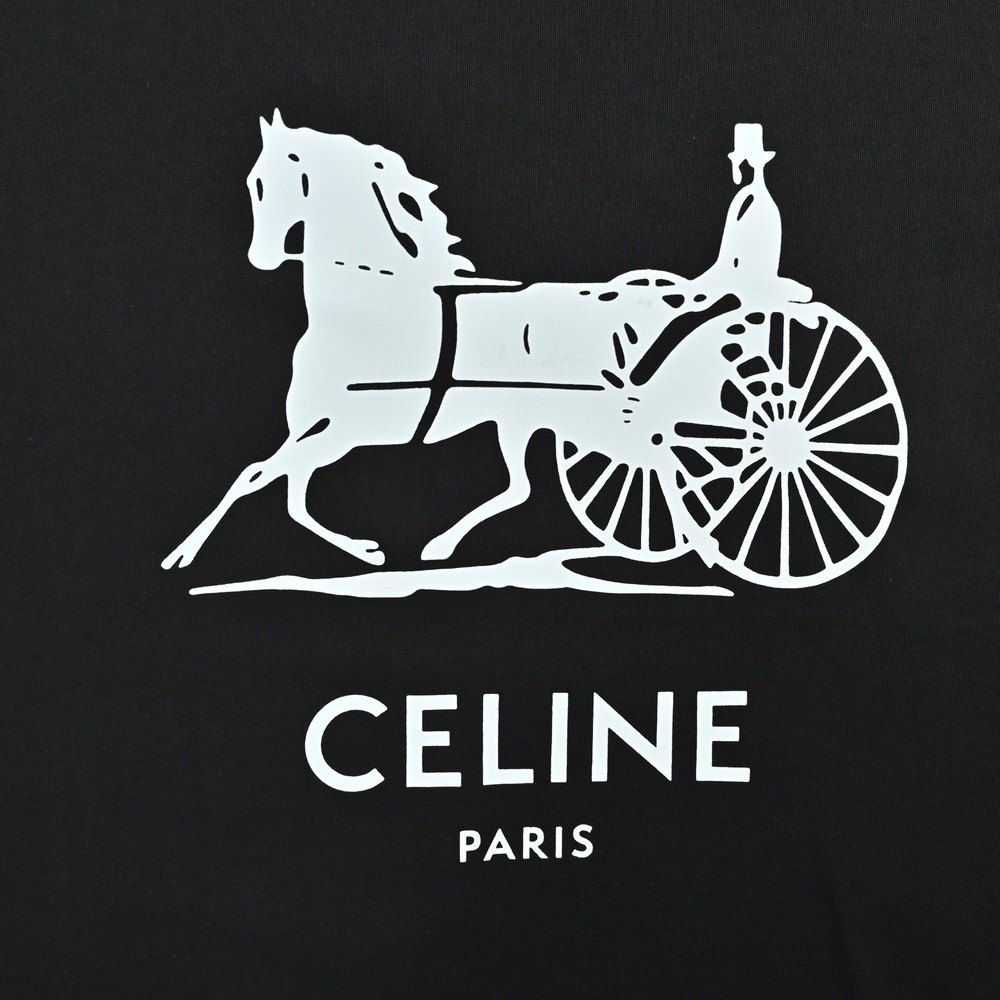 Celine T-shirts-035