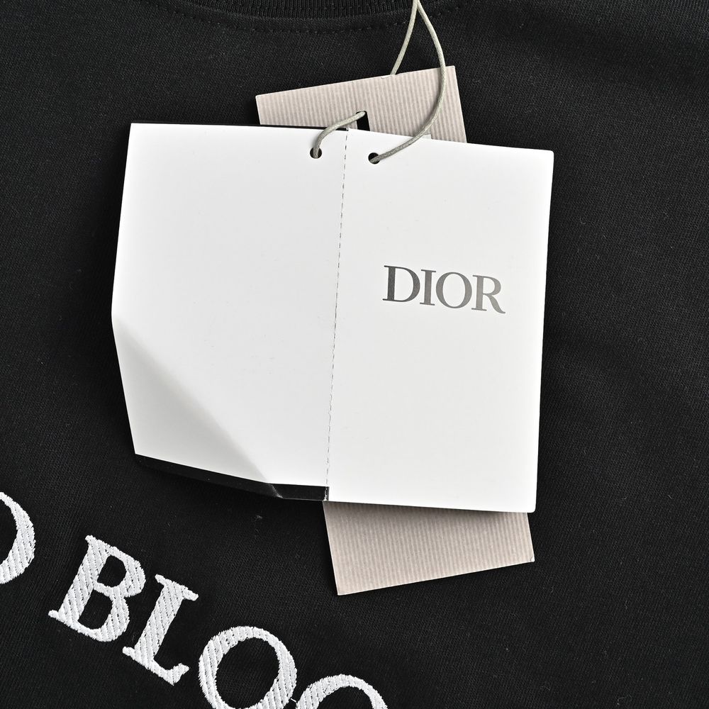 Dior T-shirts-429