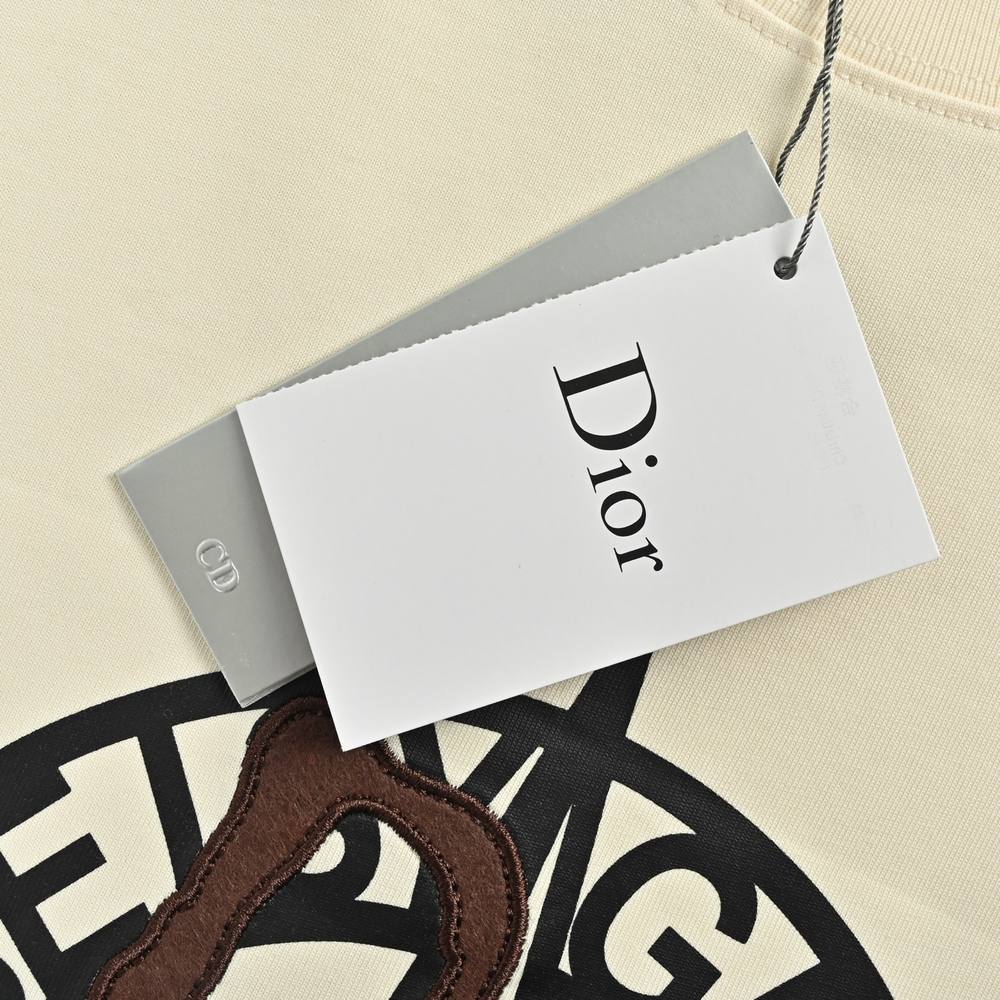 Dior T-shirts-389