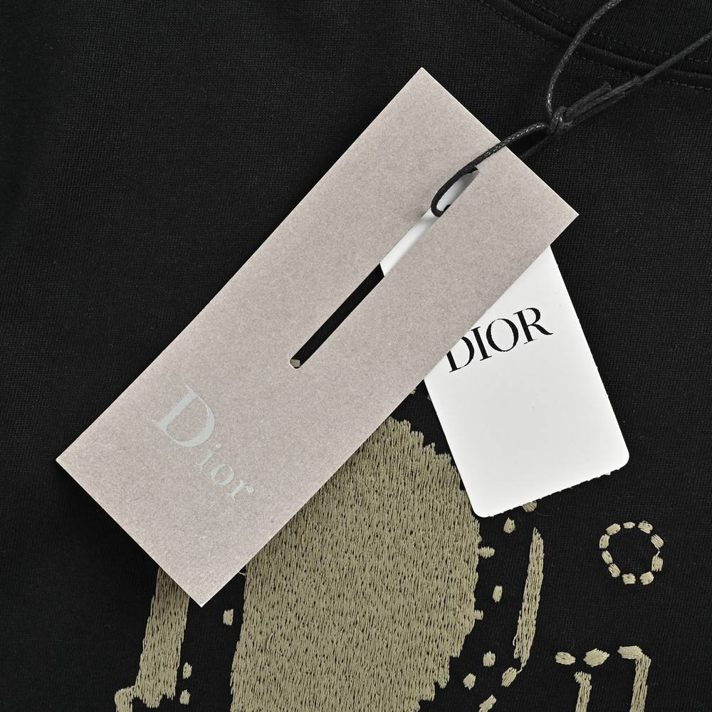 Dior T-shirts-340
