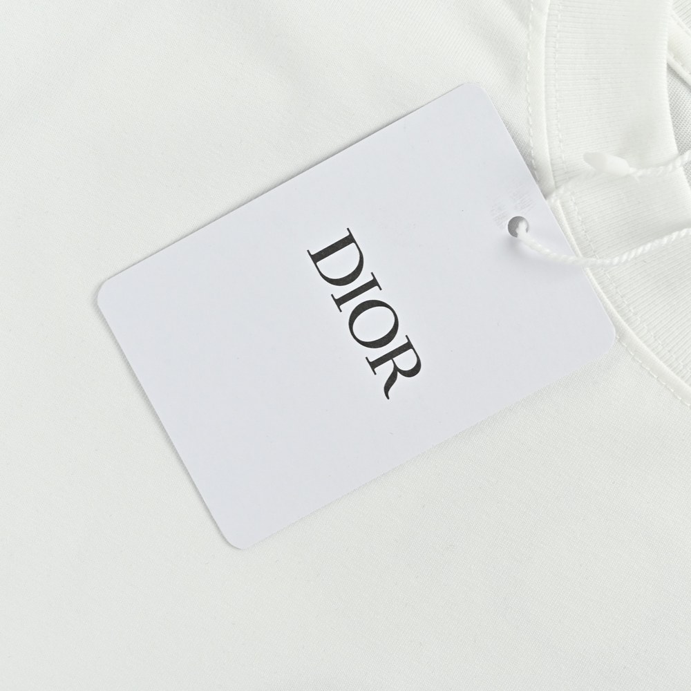 Dior T-shirts-337