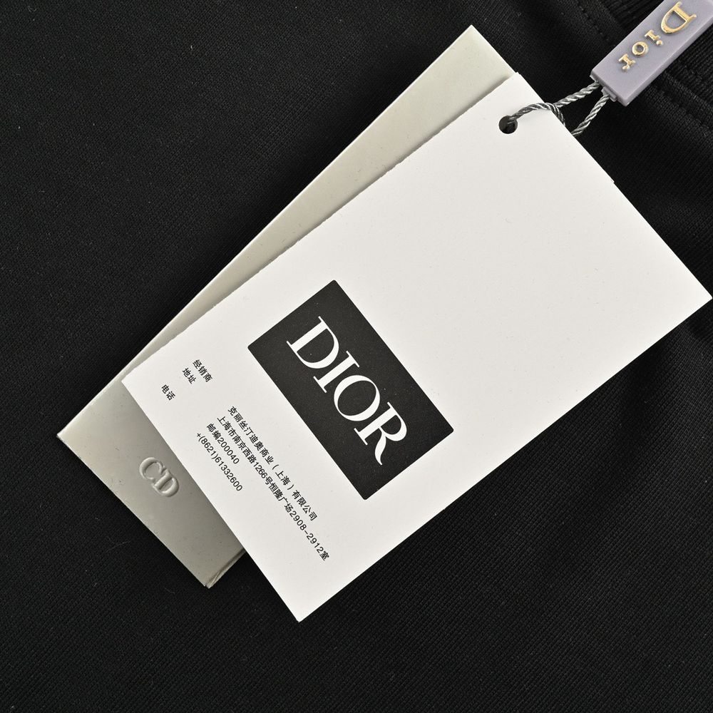 Dior T-shirts-306
