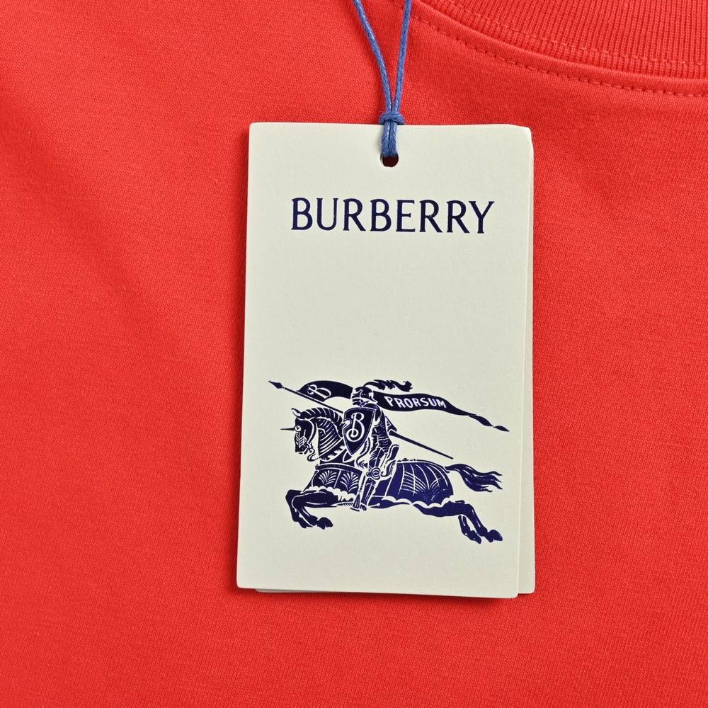 Burberry T-shirts-1292