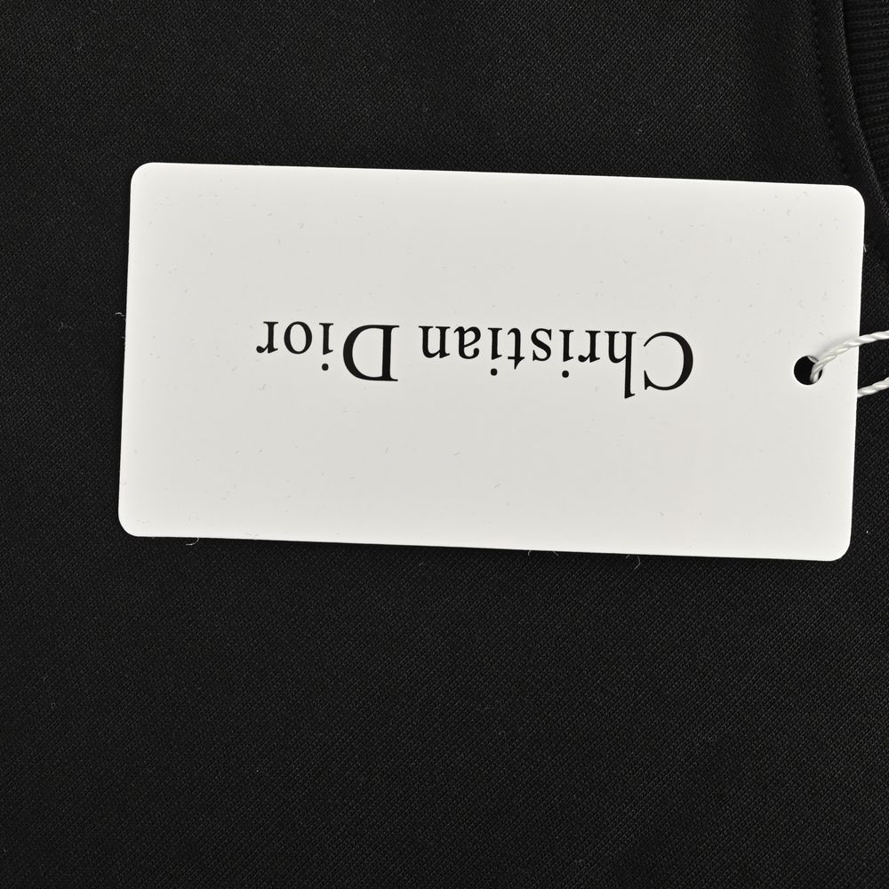 Dior T-shirts-316