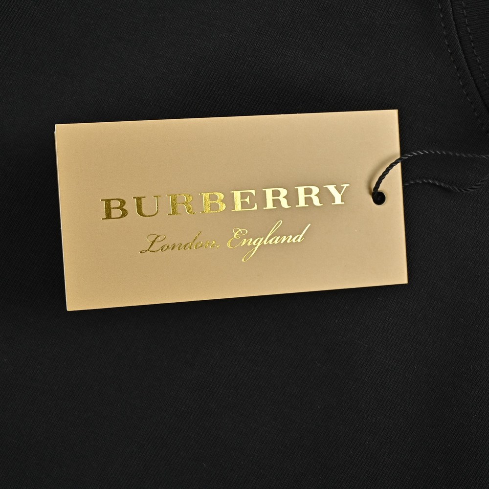 Burberry T-shirts-1309