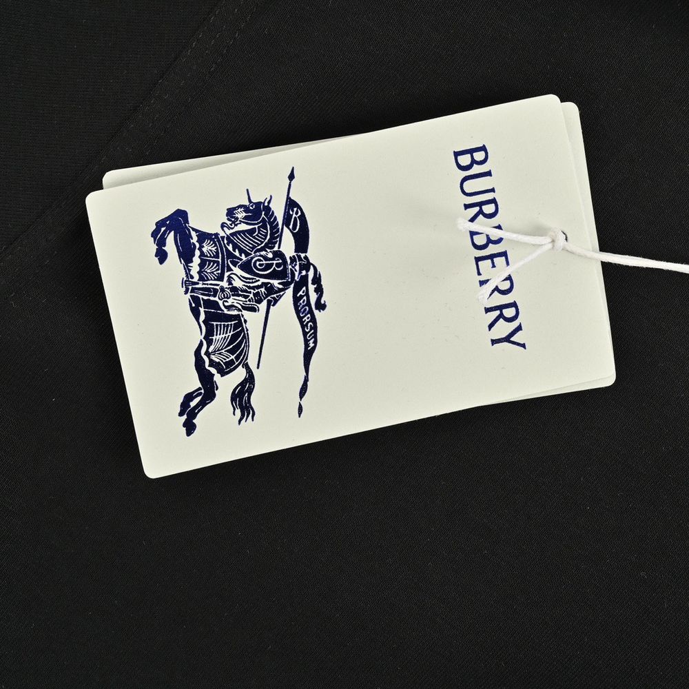 Burberry T-shirts-1279