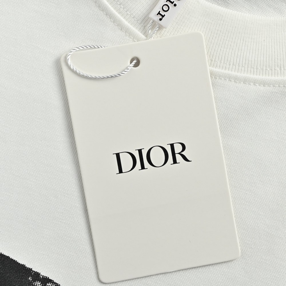 Dior T-shirts-488