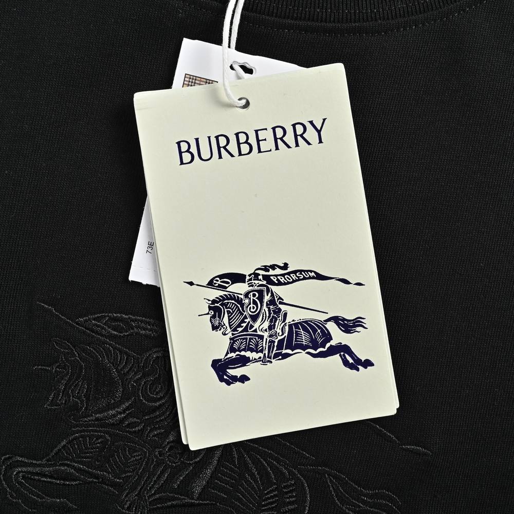 Burberry T-shirts-1302